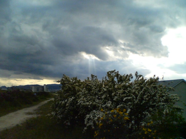 f0077595_172283.jpg