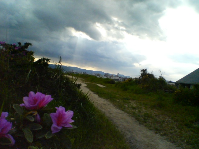 f0077595_1722896.jpg