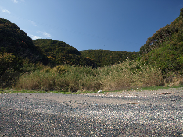 b0075797_2020536.jpg