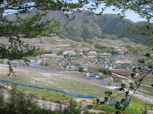 d0056197_18523628.jpg