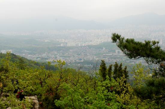 e0166398_020055.jpg
