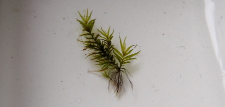 c0147699_23231520.jpg