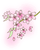 f0196199_21374226.gif