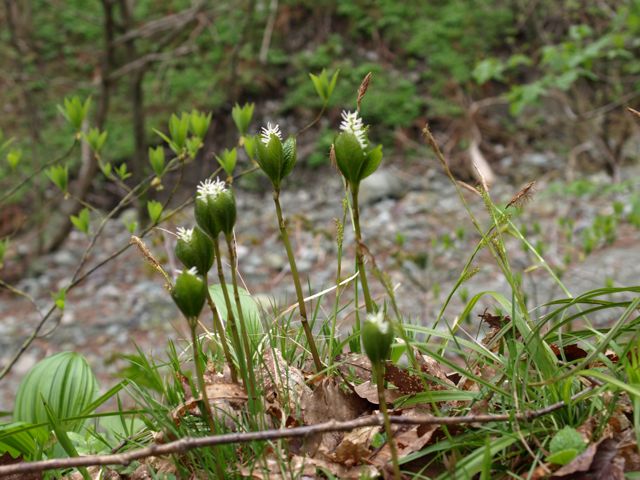 c0007501_021544.jpg