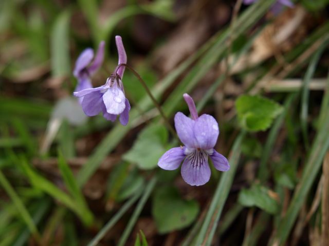 c0007501_0221367.jpg