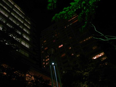 a0024005_23454589.jpg