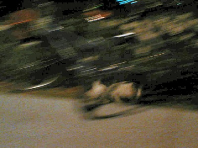 a0024005_23461861.jpg