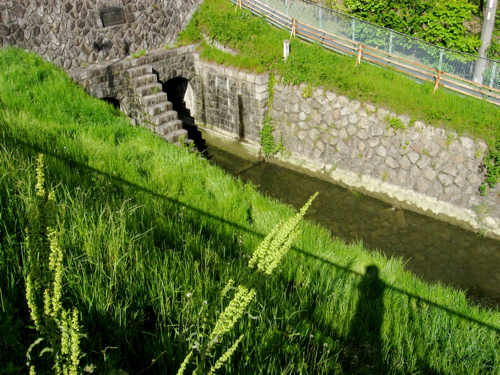 c0030705_054552.jpg
