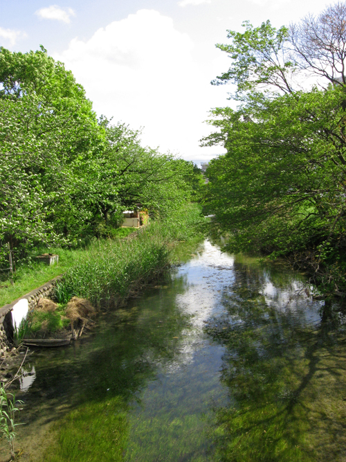 c0030705_092176.jpg