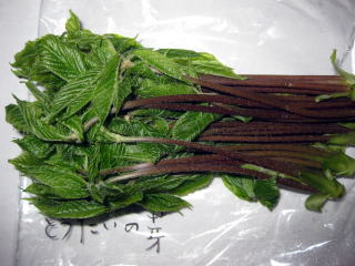 b0006210_16463313.jpg