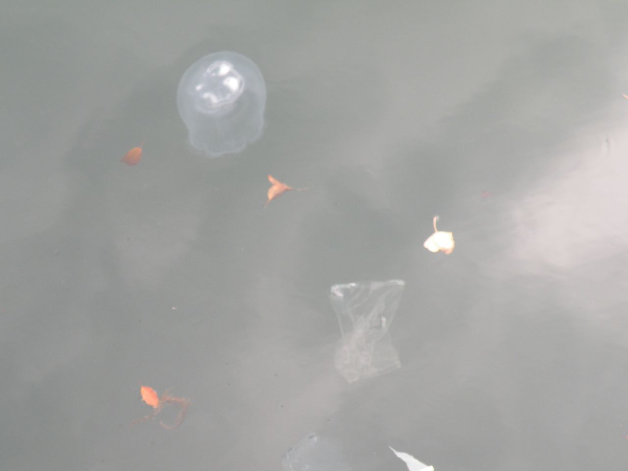 e0167315_15511981.jpg