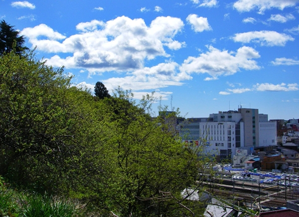 d0144618_201249.jpg
