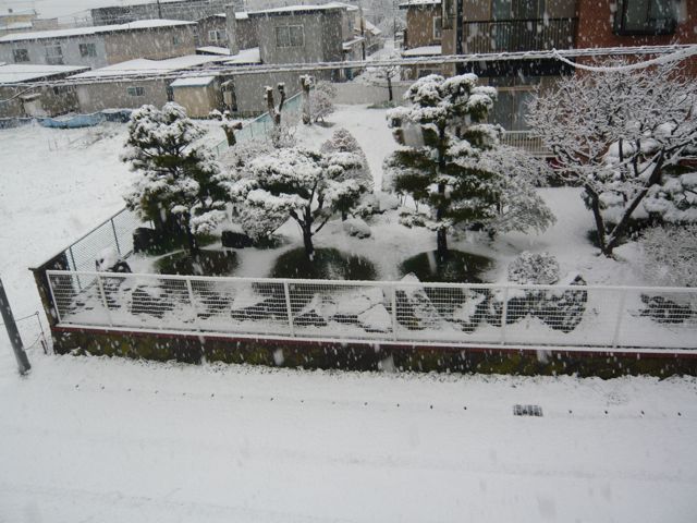 e0111220_13341033.jpg