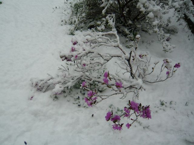 e0111220_13524974.jpg