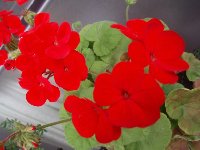 e0086522_103401.jpg