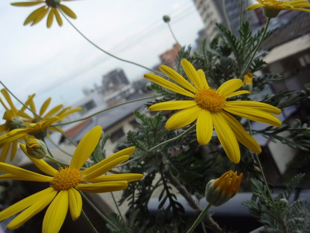 e0086522_10351045.jpg