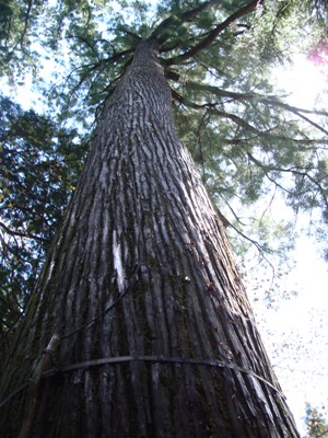 e0175123_9315986.jpg