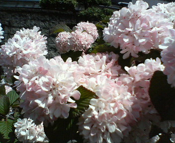 f0036223_22123845.jpg