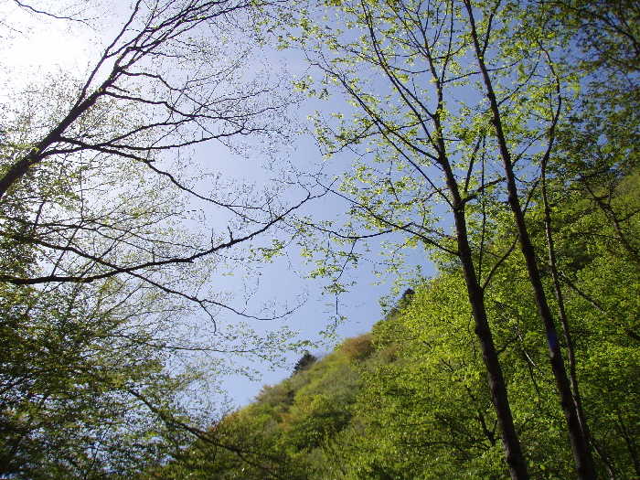 f0103126_2152317.jpg