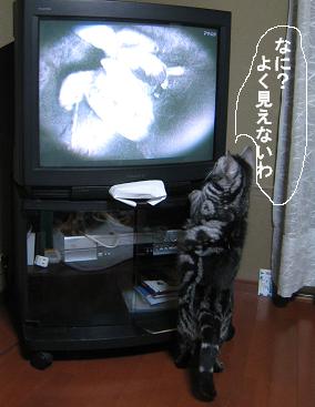 b0155830_20201050.jpg