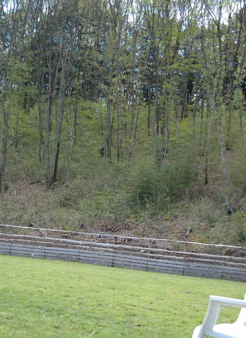 c0192930_11161567.jpg