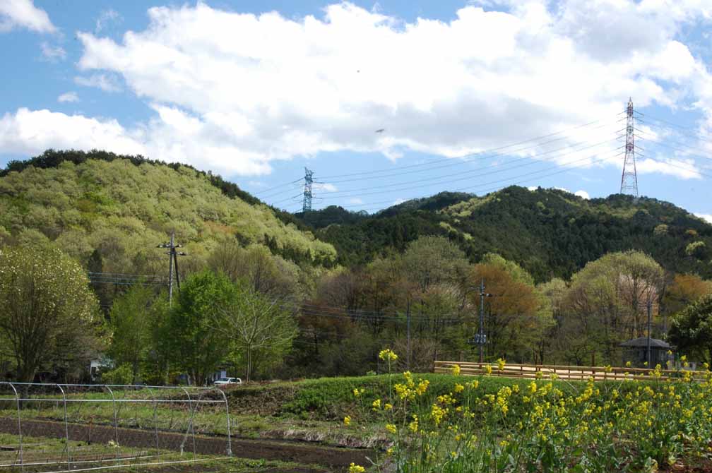 c0192930_923939.jpg