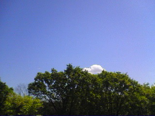 e0029132_11355871.jpg