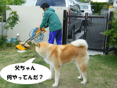 f0008935_13221953.gif
