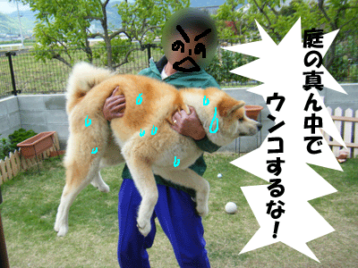 f0008935_1323437.gif
