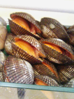 f0208737_1543636.jpg