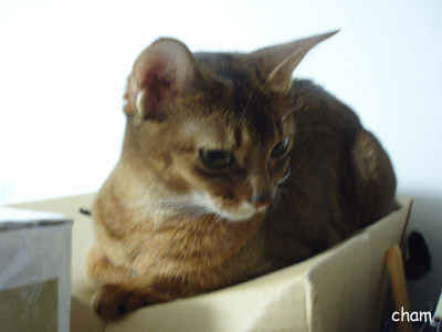 c0132438_22384611.jpg