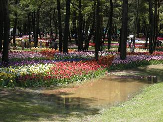 b0024439_9224270.jpg