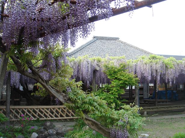 e0057640_0224351.jpg