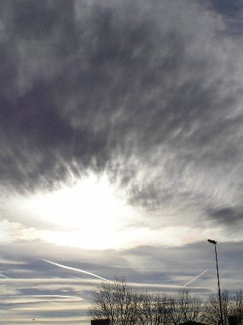 e0104941_10185830.jpg