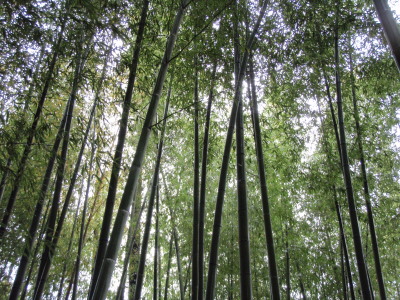 c0119142_142169.jpg
