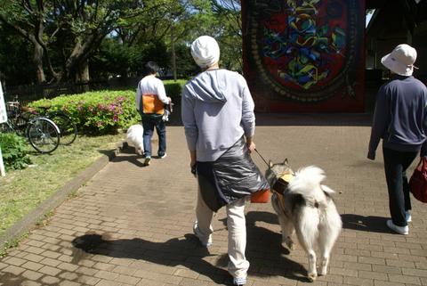 e0143442_22355591.jpg