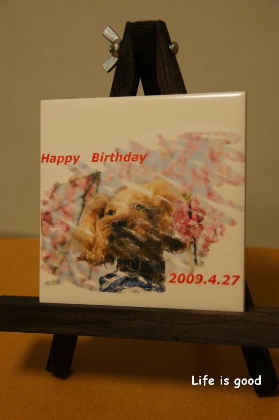 b0140347_21584575.jpg