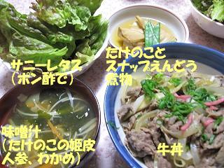 d0031853_131049.jpg