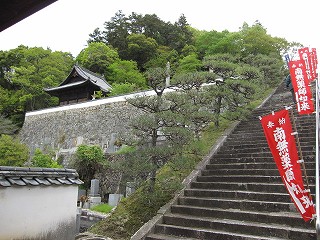 d0031853_21625.jpg