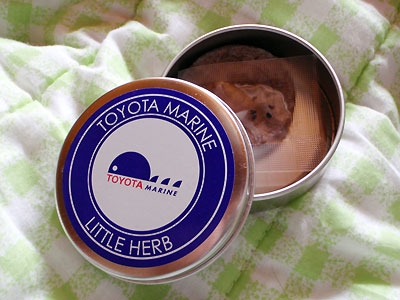 d0065257_23531263.jpg