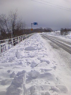 b0086858_15483640.jpg