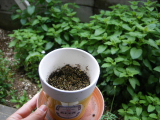 f0043559_12485310.jpg
