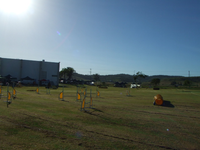 e0171460_23264610.jpg