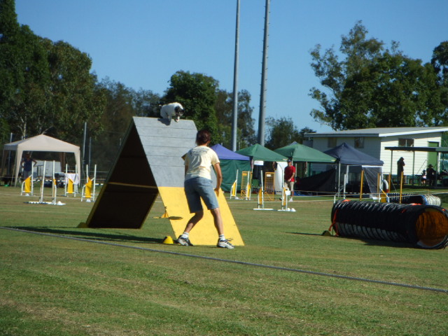 e0171460_23351095.jpg