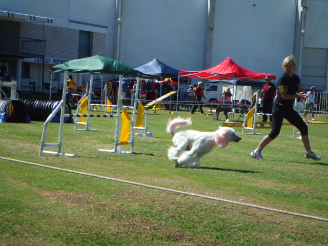 e0171460_23455636.jpg