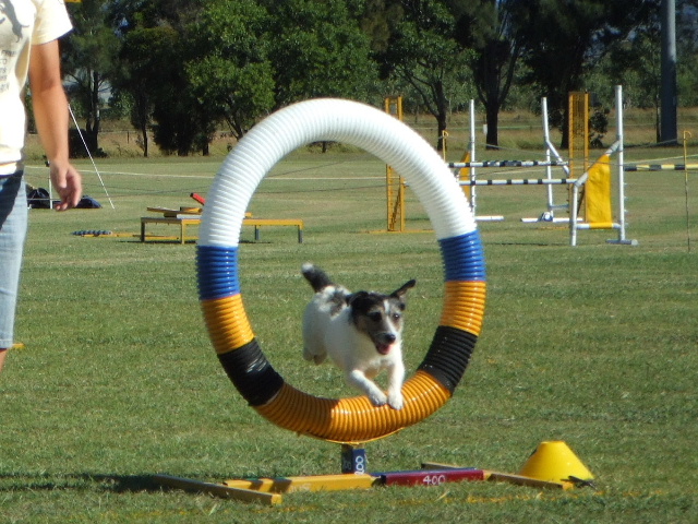 e0171460_23533720.jpg