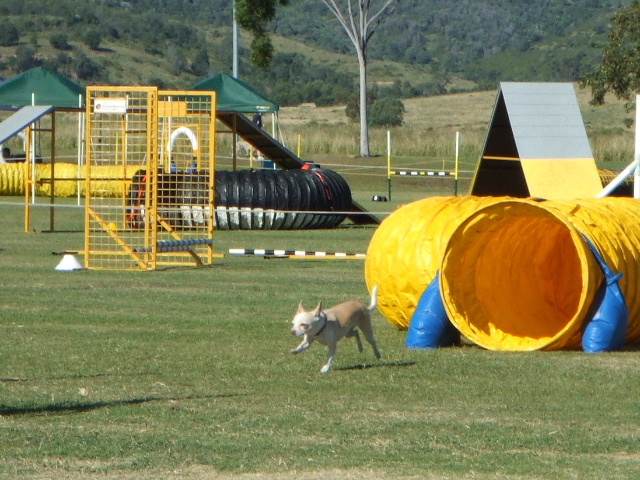 e0171460_23561577.jpg