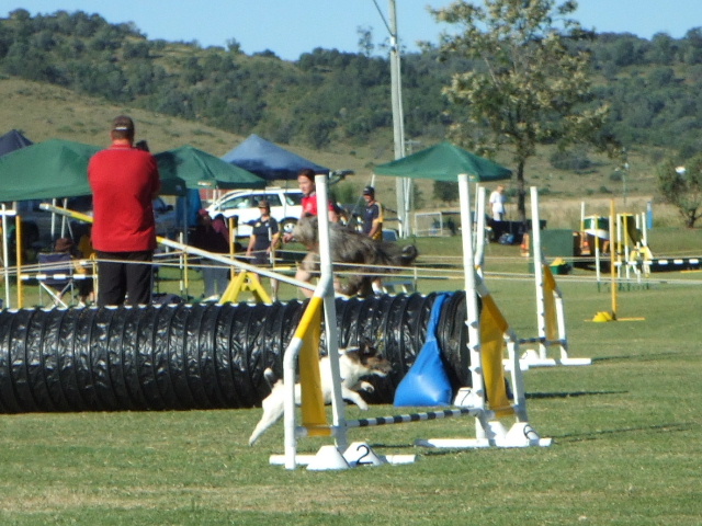 e0171460_23573740.jpg