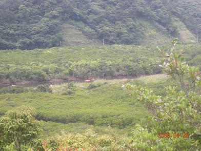 f0160860_11444791.jpg