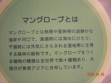 f0160860_11473676.jpg
